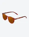 [270420262]NORTHWEEK WALL SHINE TORTOISE - AMBAR POLARIZED