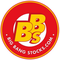 Big Bang Stocks